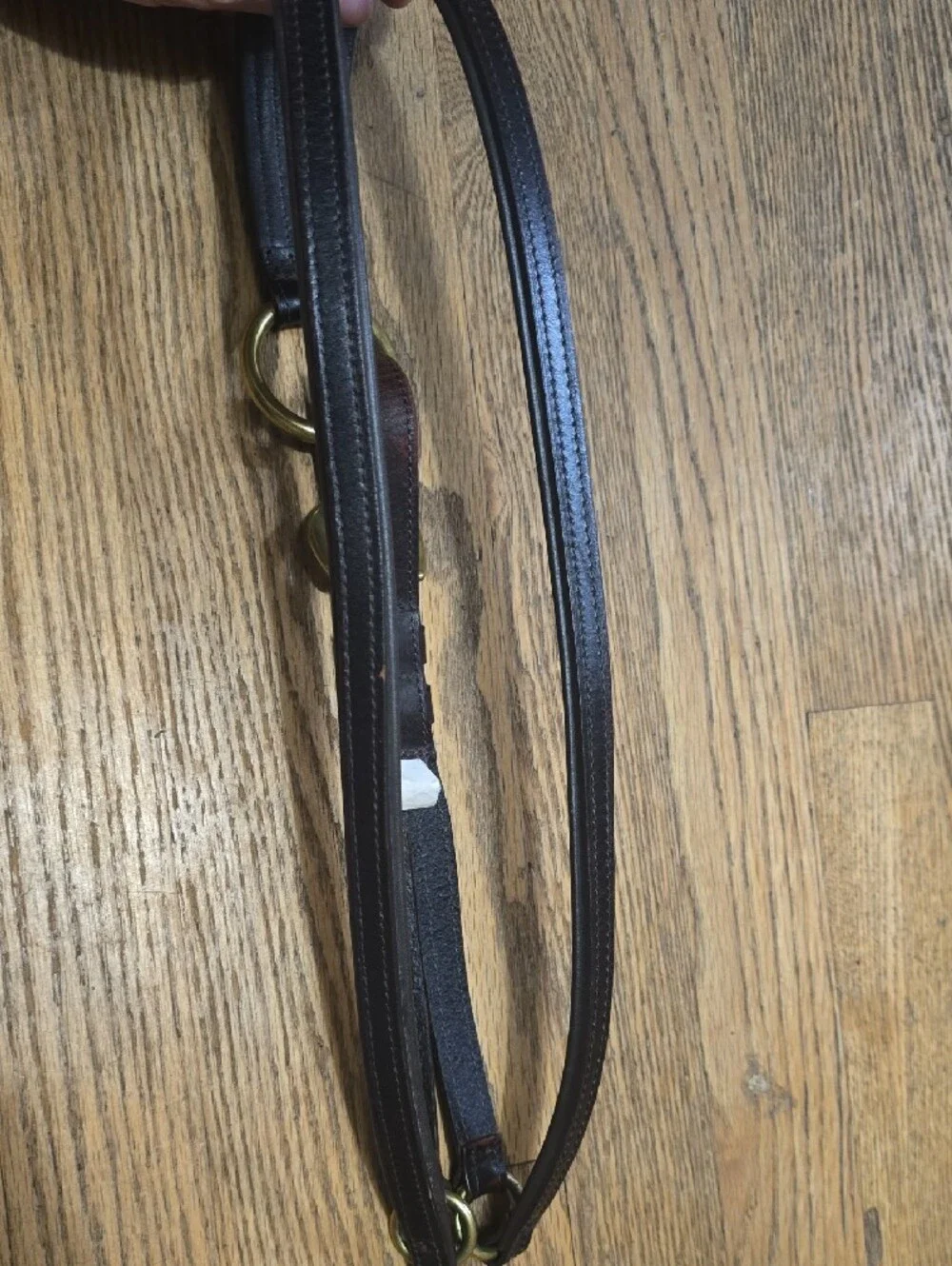 Brown Leather Belt Noble Outfittets Equestrian